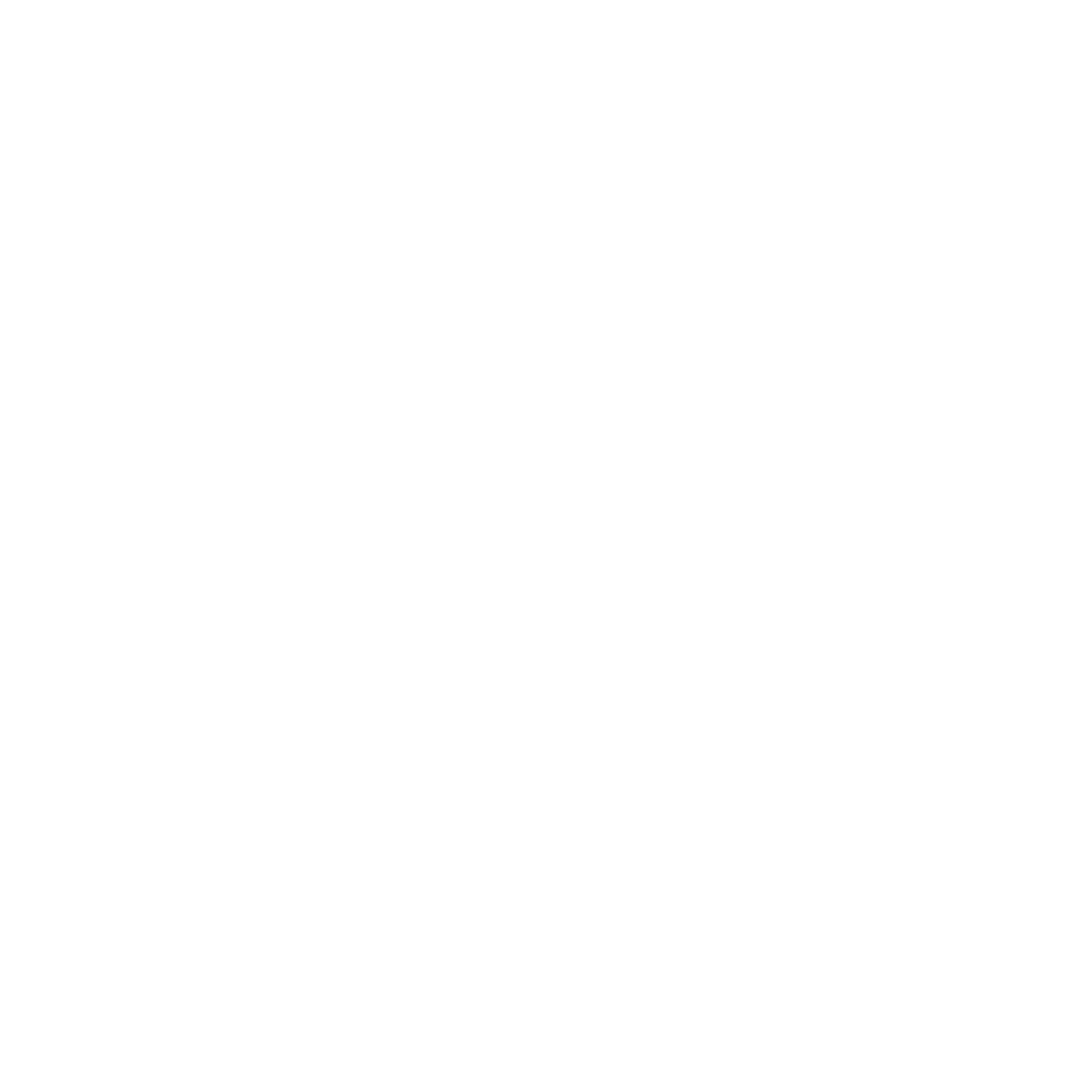 LOGO RS LOCATION - BLANC